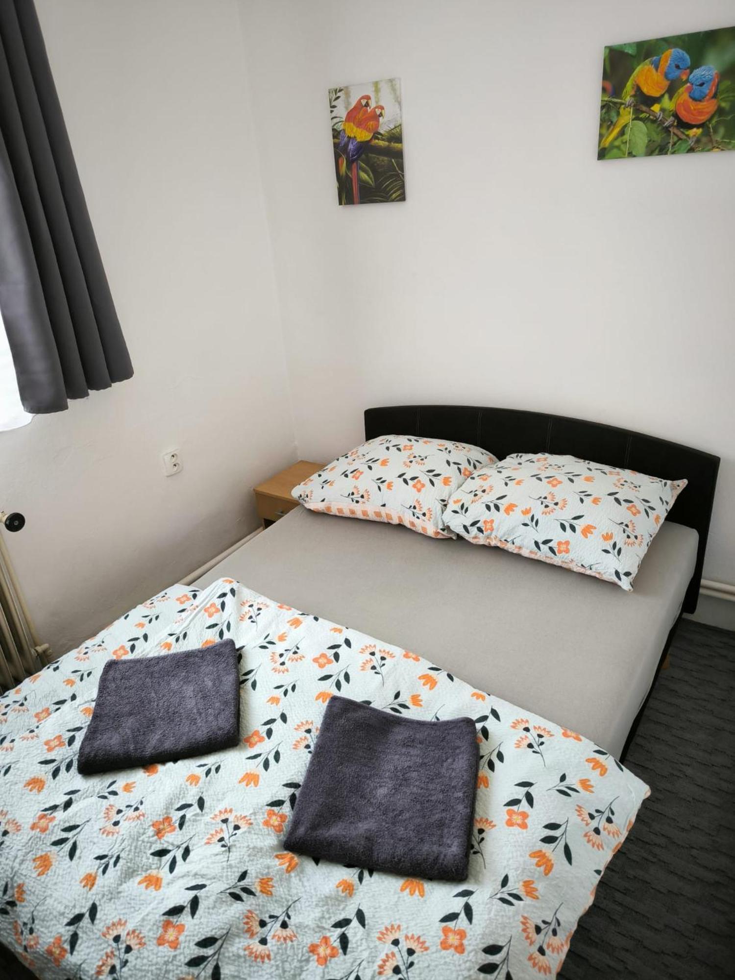 Apartman U Potoka Kestrany المظهر الخارجي الصورة
